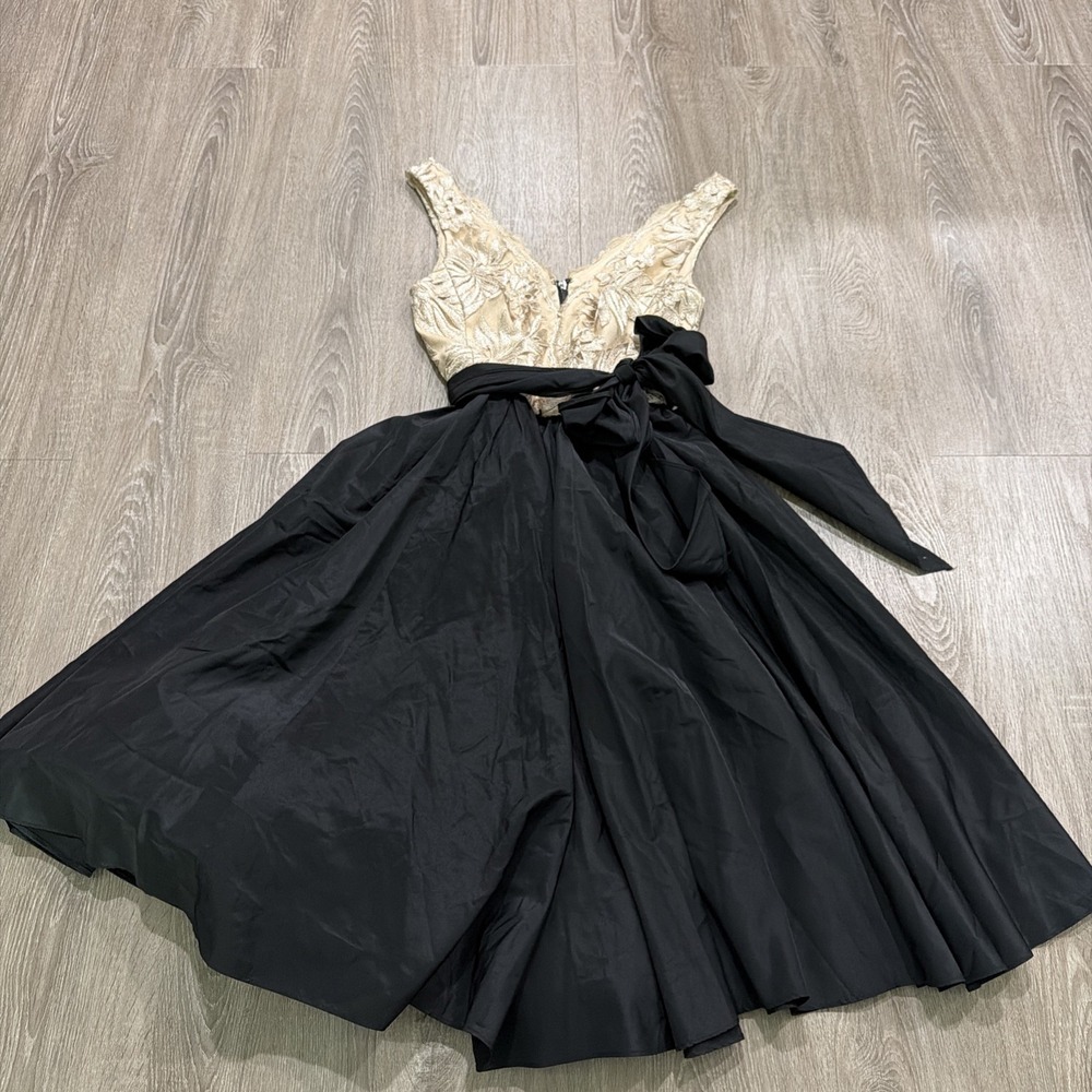 $365 NWT VERA WANG Sz 2 SLEEVELESS V-NECK LACE & TAFFETA FLARE DRESS NUDE/BLACK